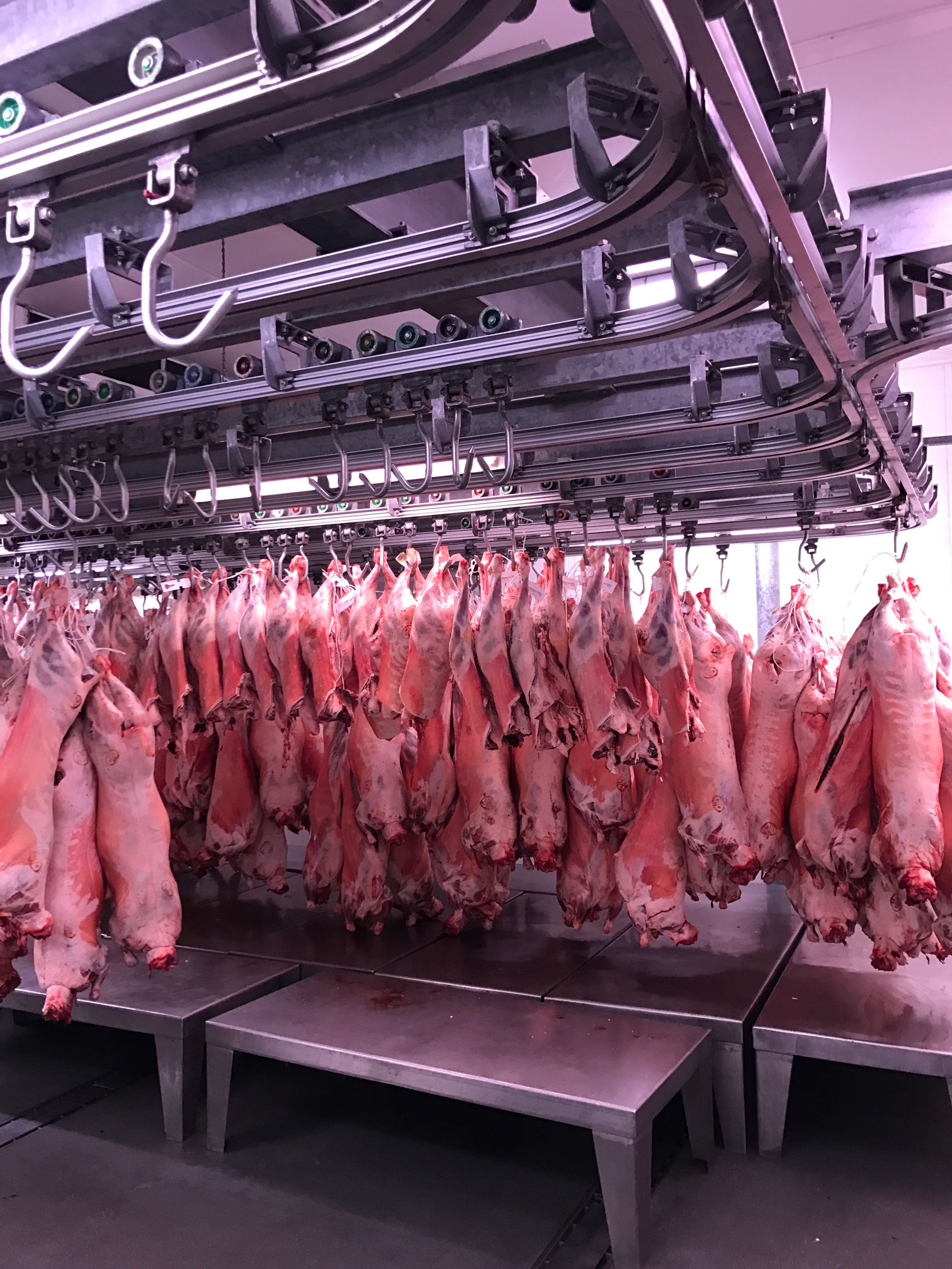 Meat Hanging Rail System