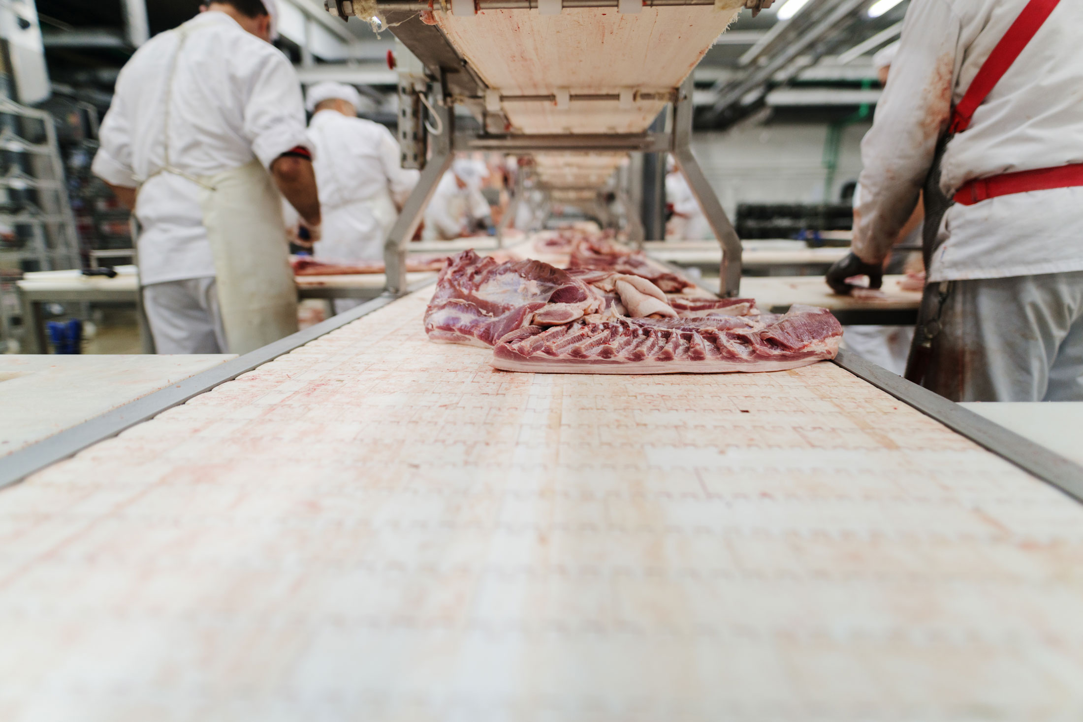 5 Ways Modern Butchery Equipment Can Transform Your Business